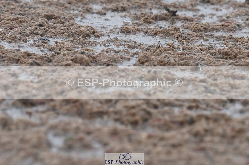 230708A-151946-03269 - Novice 24