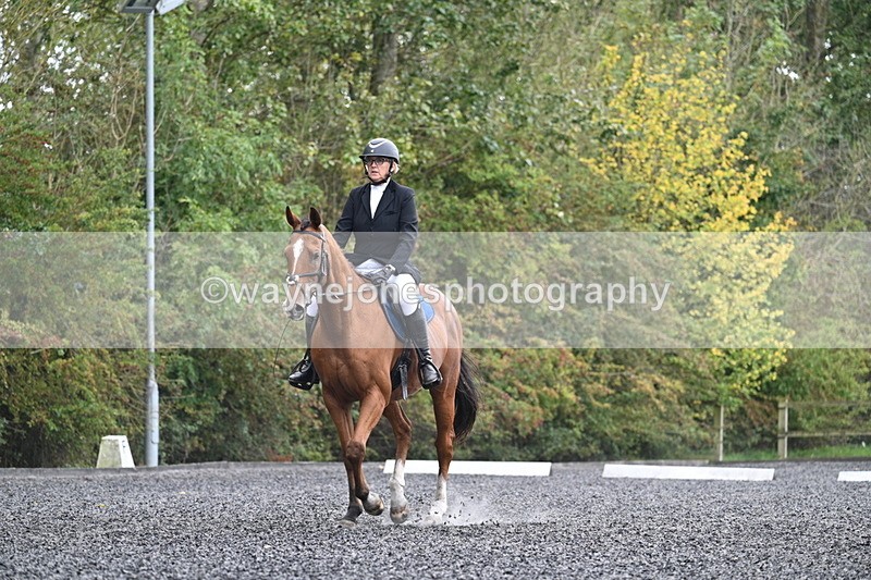 WJ7_3408 - Time 09:54 to 10:54