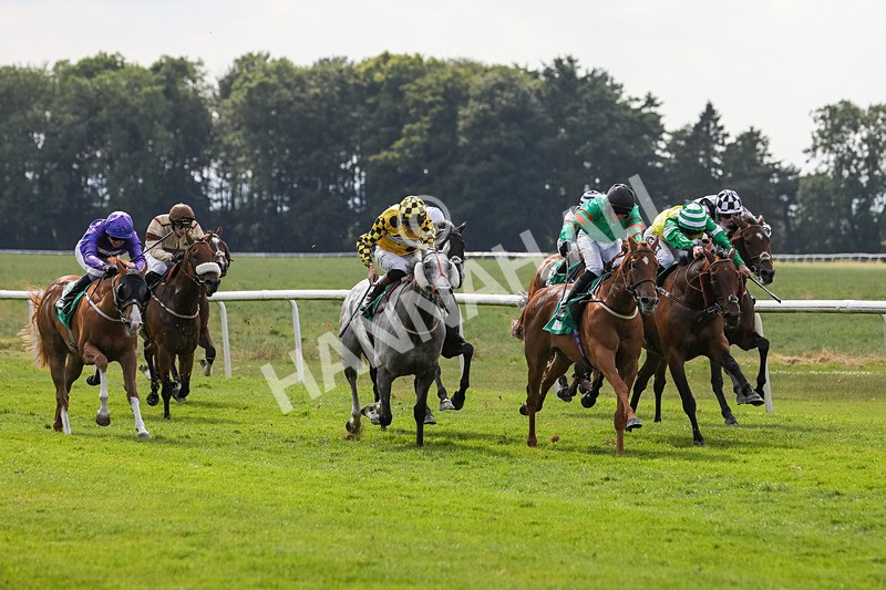 240624-Race 6-Profiteer-0420 - Race 6