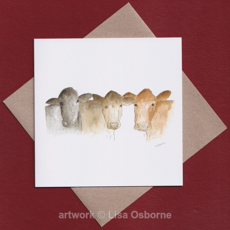 Cows greetings card - GREETINGS CARDS