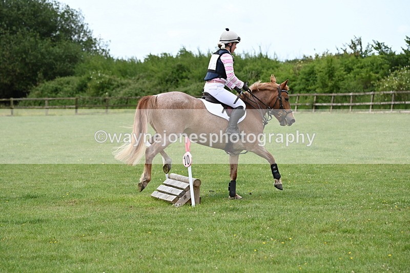 WJ6_2468 - Class 2 40cm