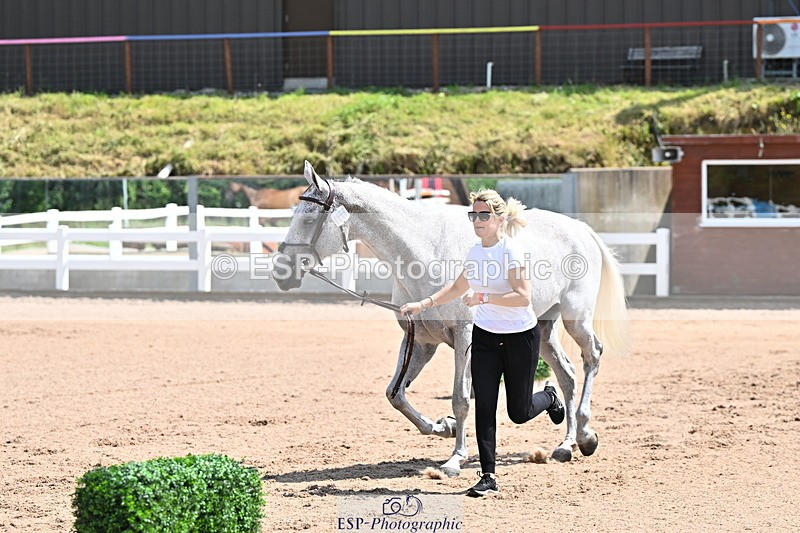 240718A-105240-00996 - Trot Up 11am to 12pm