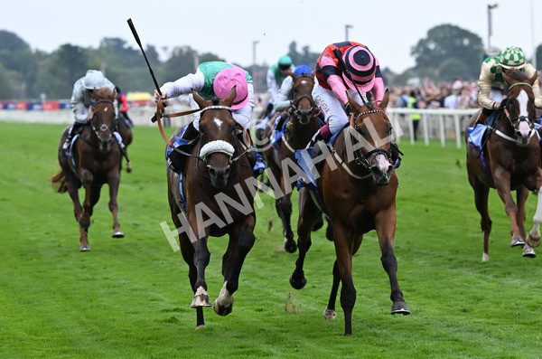 230825-038 Tarriance - Race 2 2.25pm Sky Bet Melrose Handicap