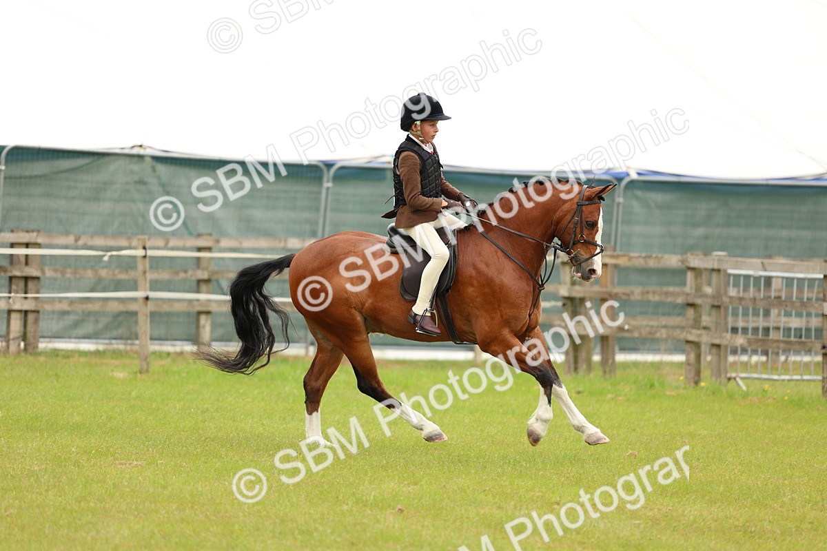 SBM_10229 - Class 44-45 - LIHS BSPS Open Nursery and Cradle Stakes