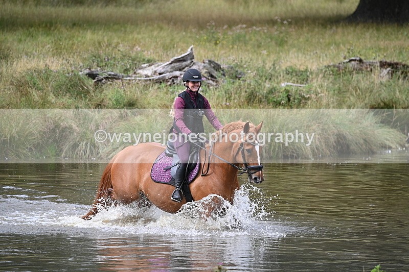WJ7_2048 - Time at Water 11:14 to 11:36