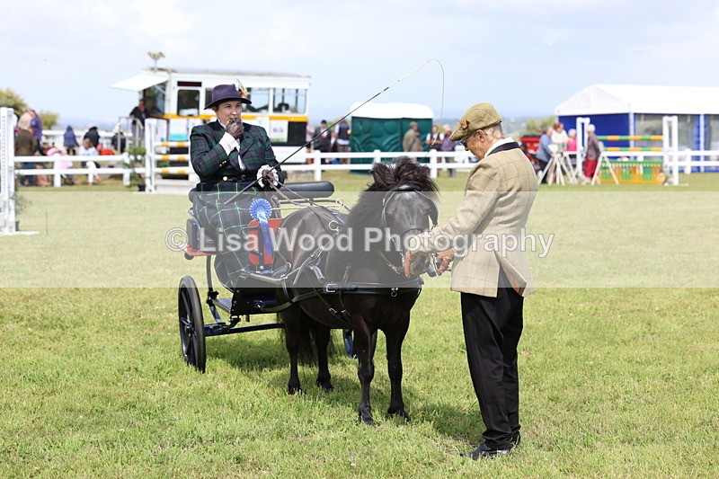 3E7A2822 - Class 12: Open Driving