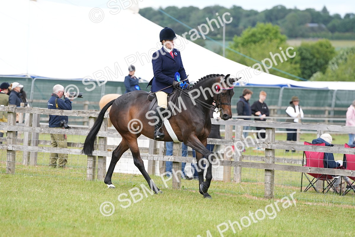 SBM_16010 - Class 103-104 - RIHS Hacks