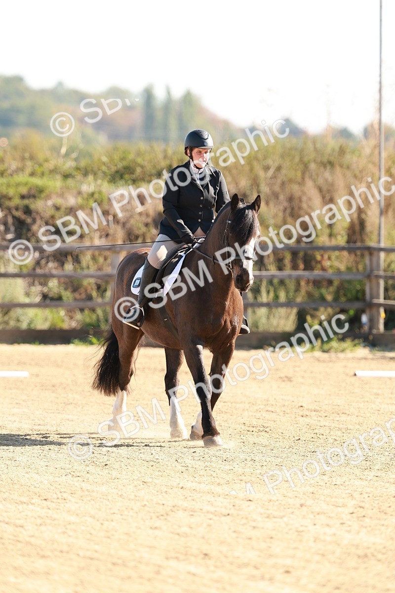 SBM_009250 - Class 2 - Intro 3