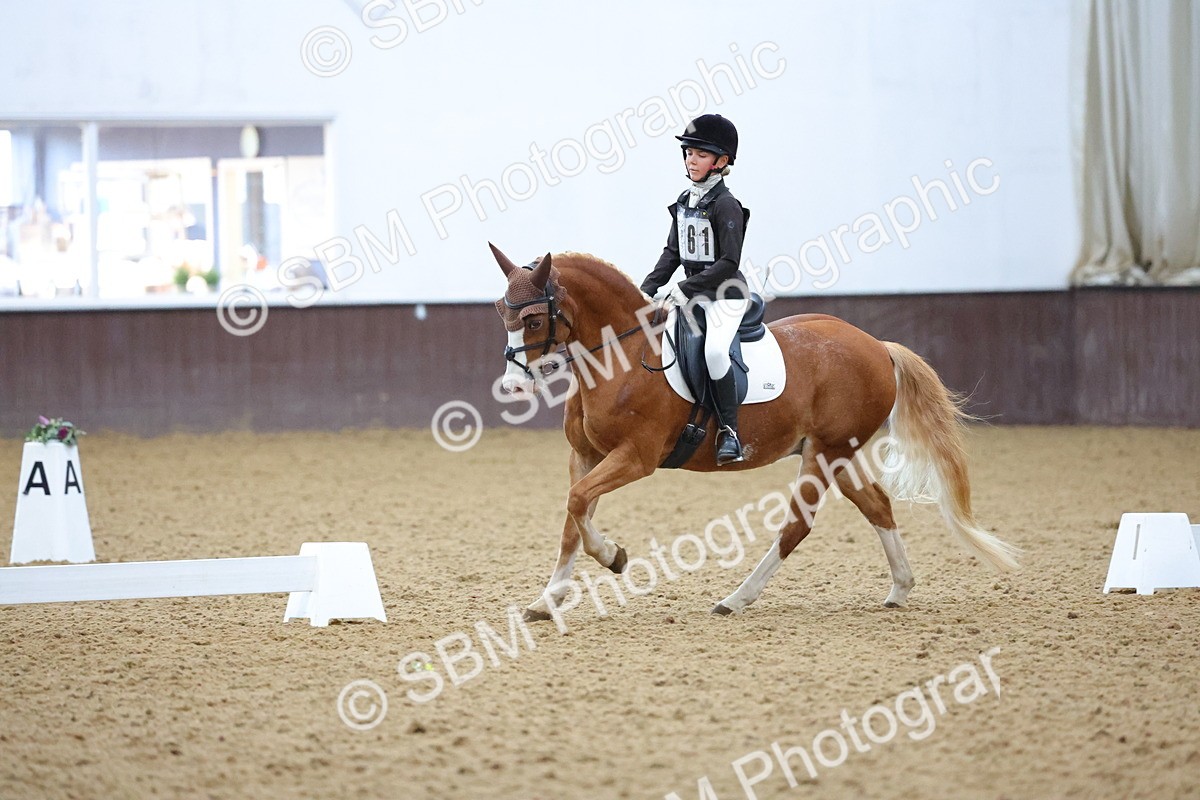 SBM_004201 - Intermediate