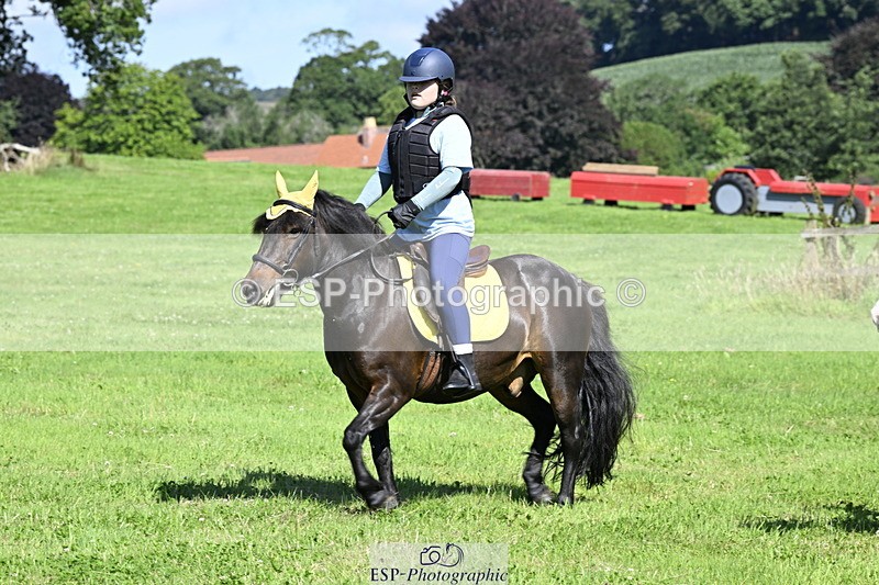 240728B-102219-00650 - Theo's Group XC