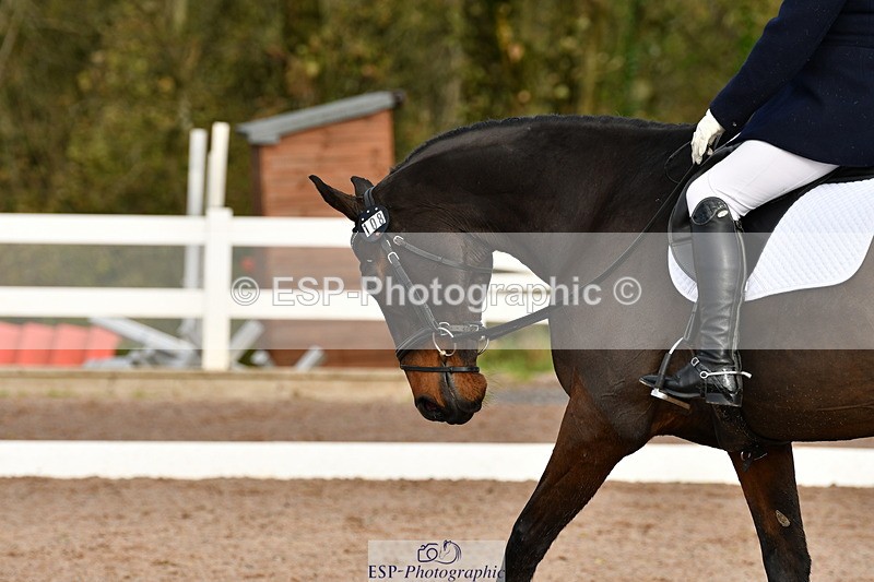 231104A-113034-00223 - Cls 7 Elementary 43