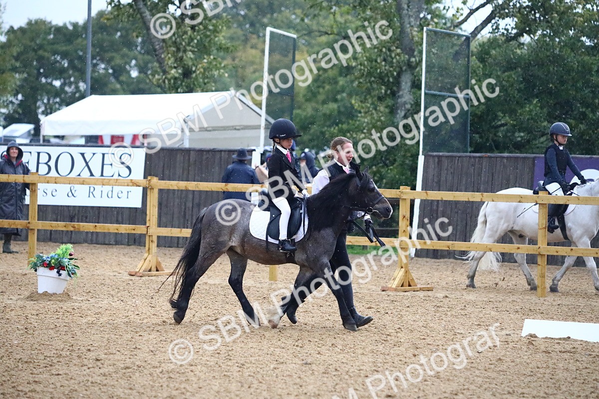 SBM_34637 - D26 - Starters Lead Rein