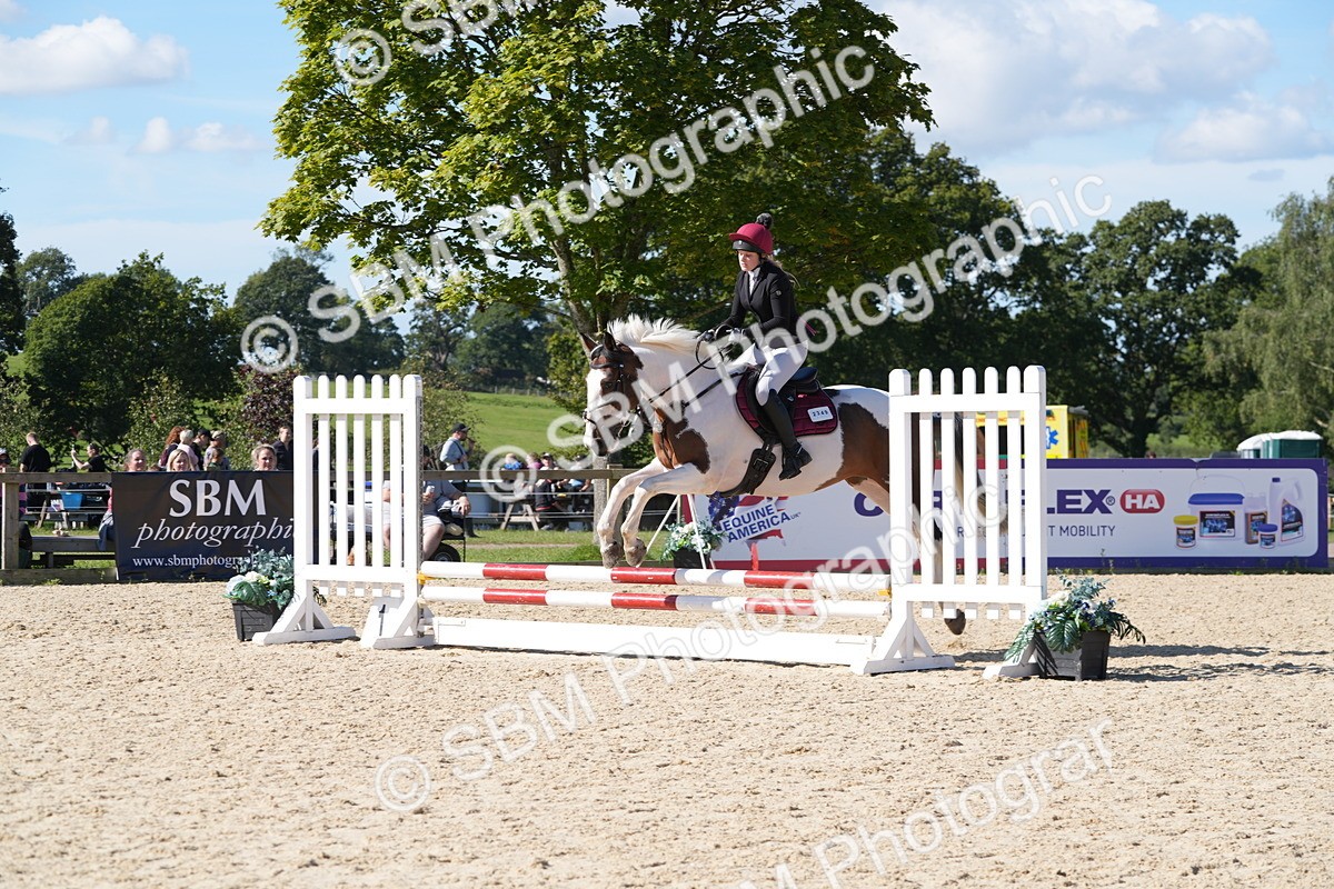 SBM_38666 - J21 - Junior Horse 60cm Championship