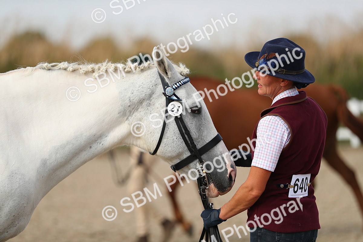 SBM_08609 - Class 28 - IH Veteran Horse