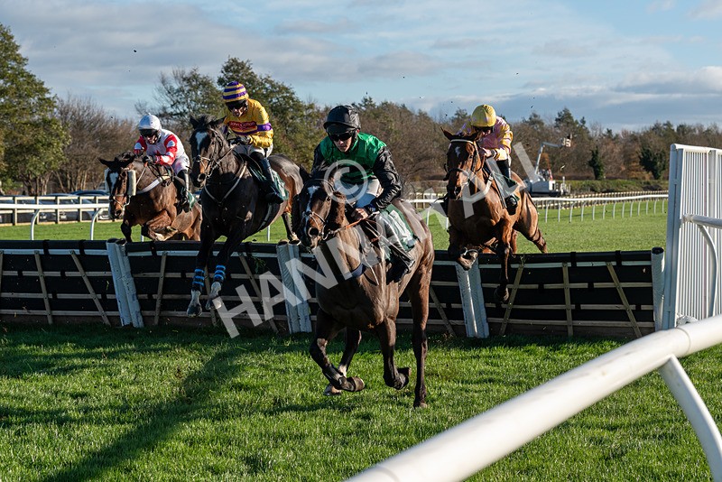 241123-Race 2-Latin Verse-7070 - Race 2