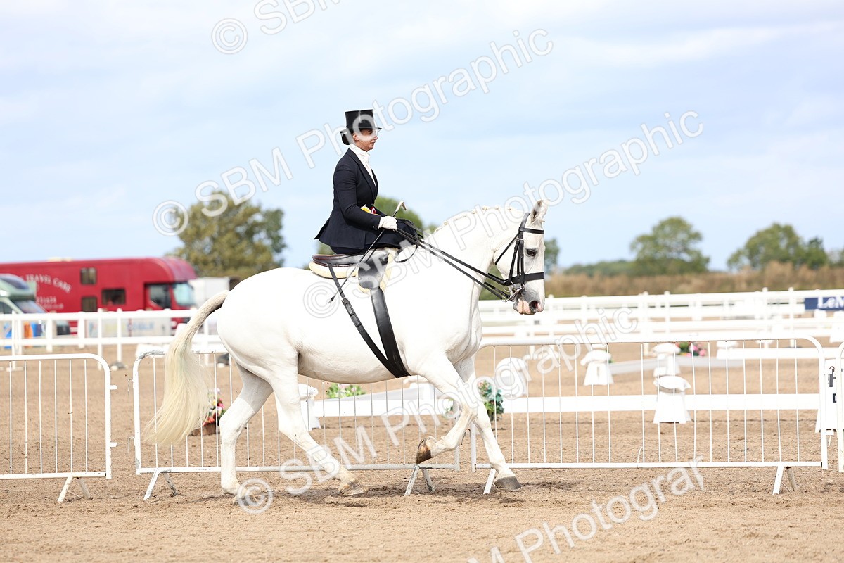 SBM_03281 - Class 22 - SSA Equitation (any age)