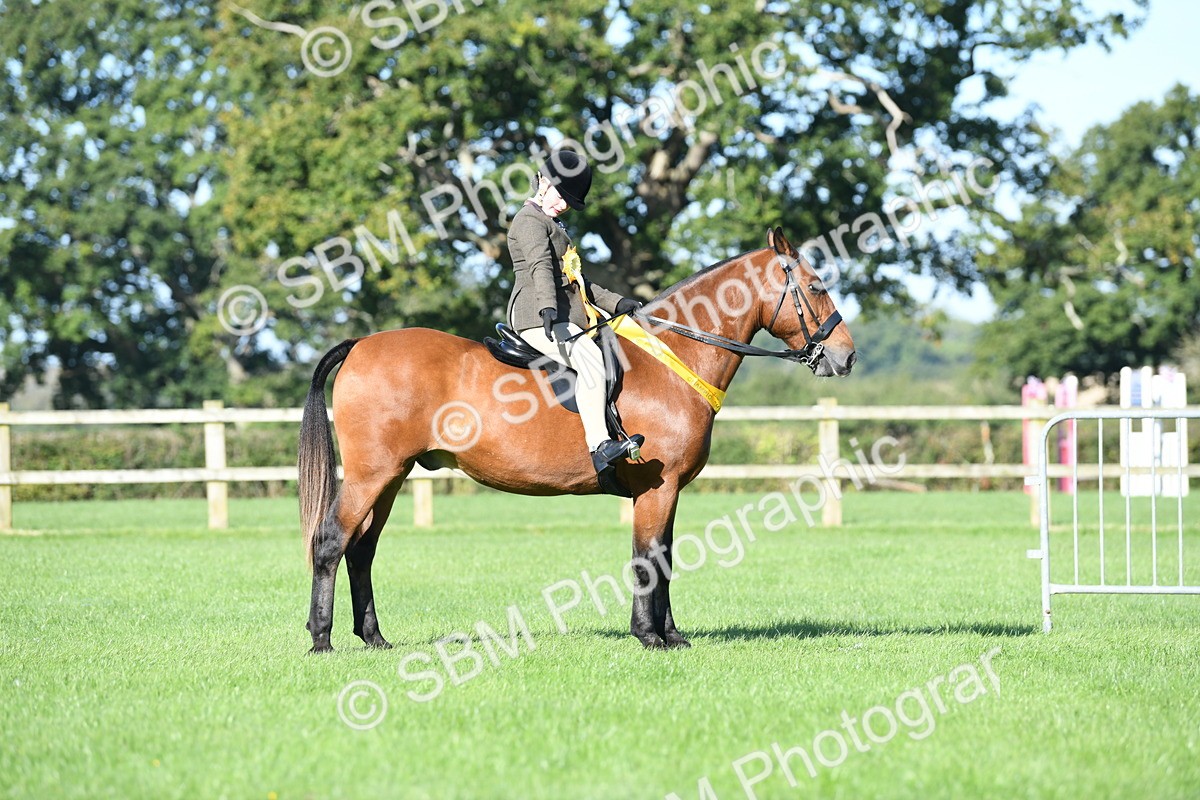 SBM_35570 - Top Turnout Supreme Championship