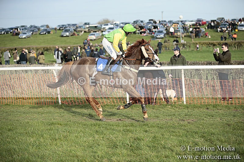 PtP 230319 528 - VWH Hunt Siddington Point-to-Point Racing 23/03/19