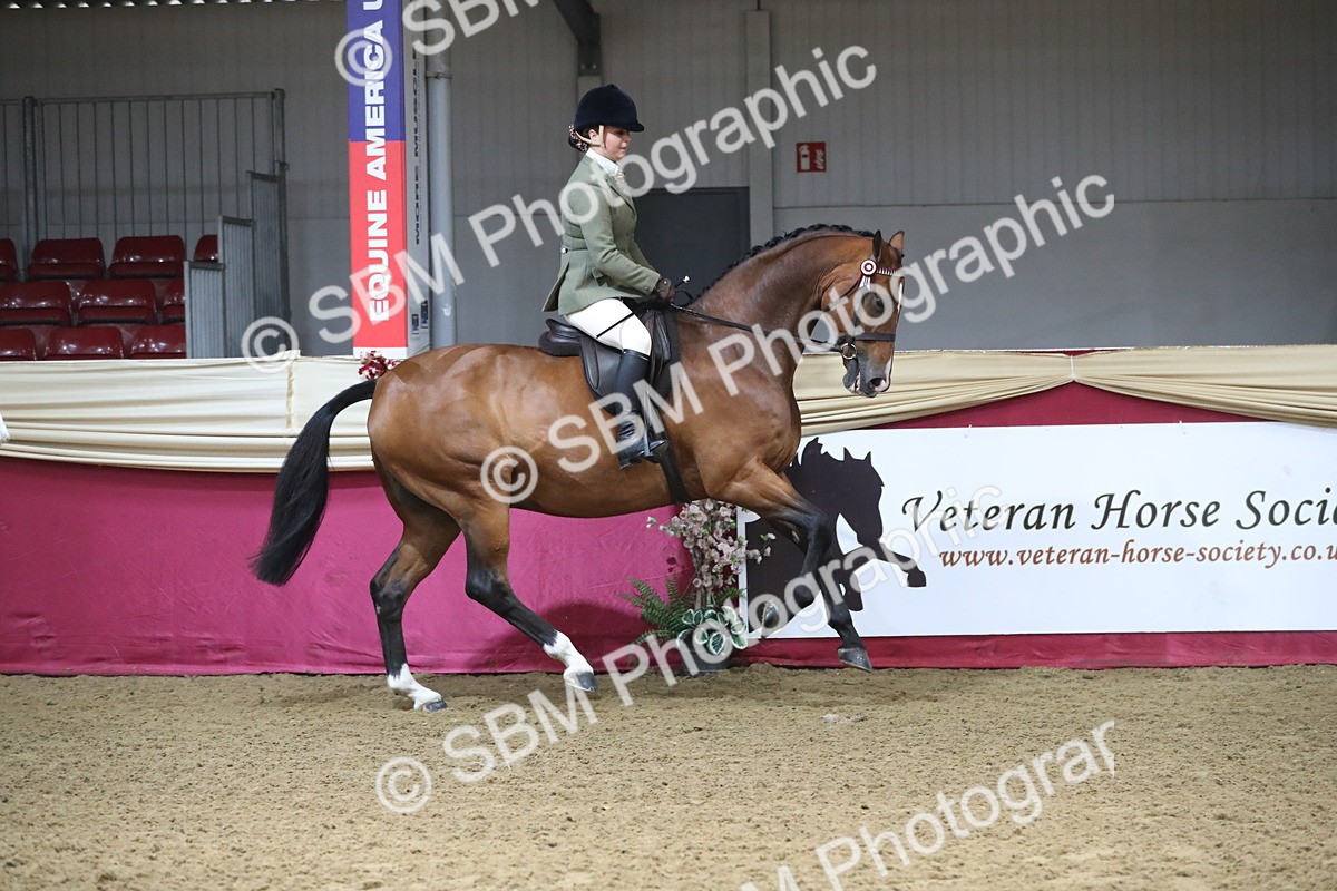 SBM_10370 - Class 102 Equitation (best rider) Adult