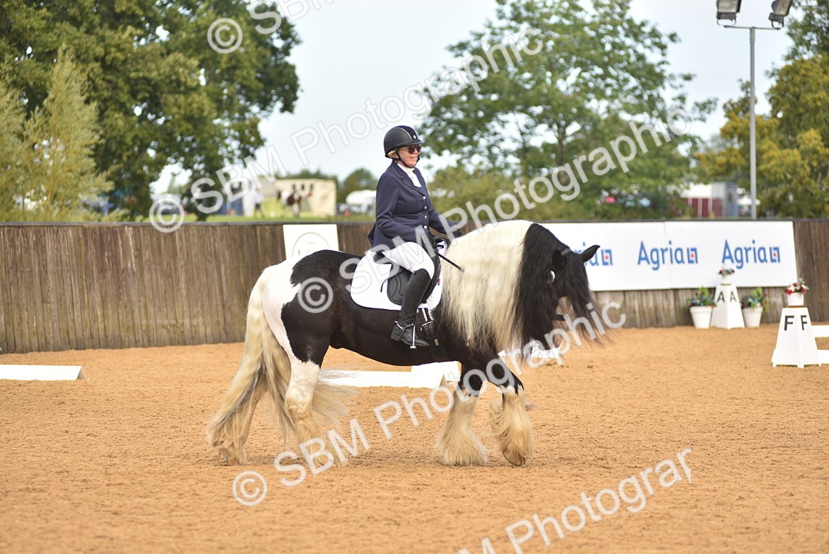 SBM_02162 - D7 - Small Tour Championship Prelim 2