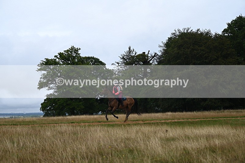 DSC_3932 - Time at Statue 14:56 to 15:05