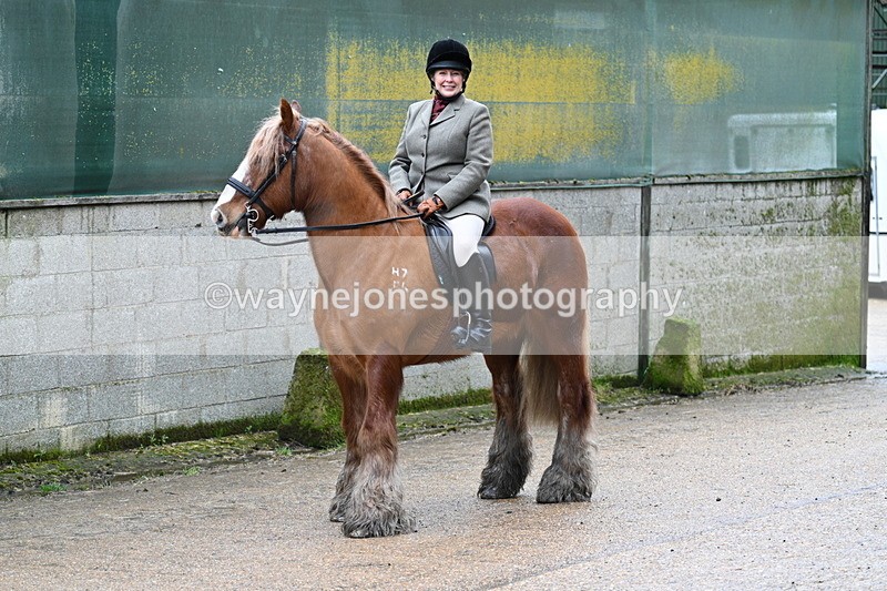 WJ7_8712 - Berks & Bucks - Rowles Farm 15-02-26