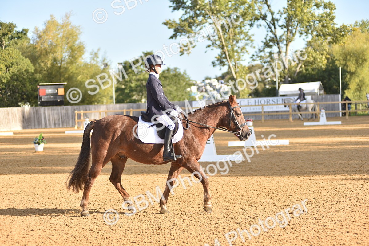 SBM_15718 - D4 - Small Tour Championship Intro 4