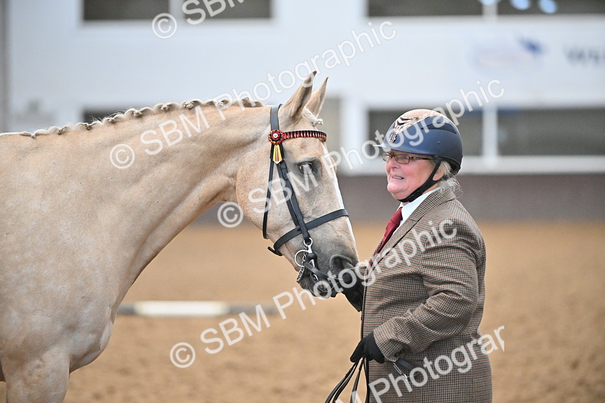EB7_8413 - Class 3 - In Hand Foreign Breeds & Warmbloods
