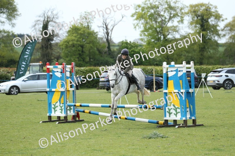 20260426-2097 - Class 15 - Absolute Novice 70cm