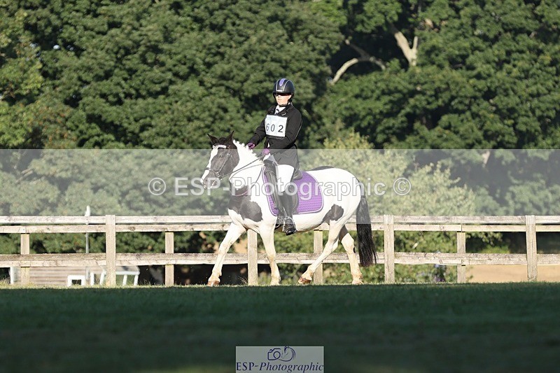 250823A-083906-25743 - Arena D