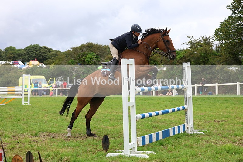 3E7A8614 - Class 8: Senior Foxhunter/1.20m open