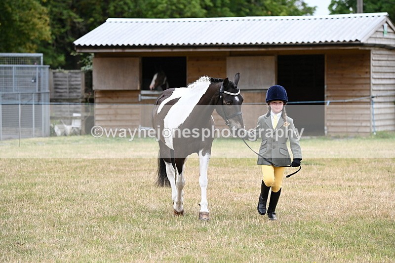 WJ6_4338 - Class 10 Coloured In-hand