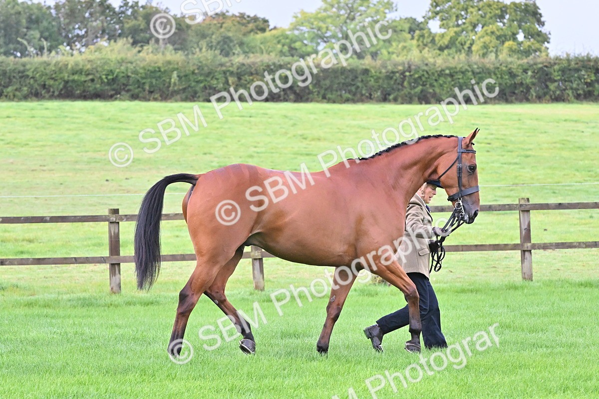 SBM_32628 - S15 - Top Turnout In Hand