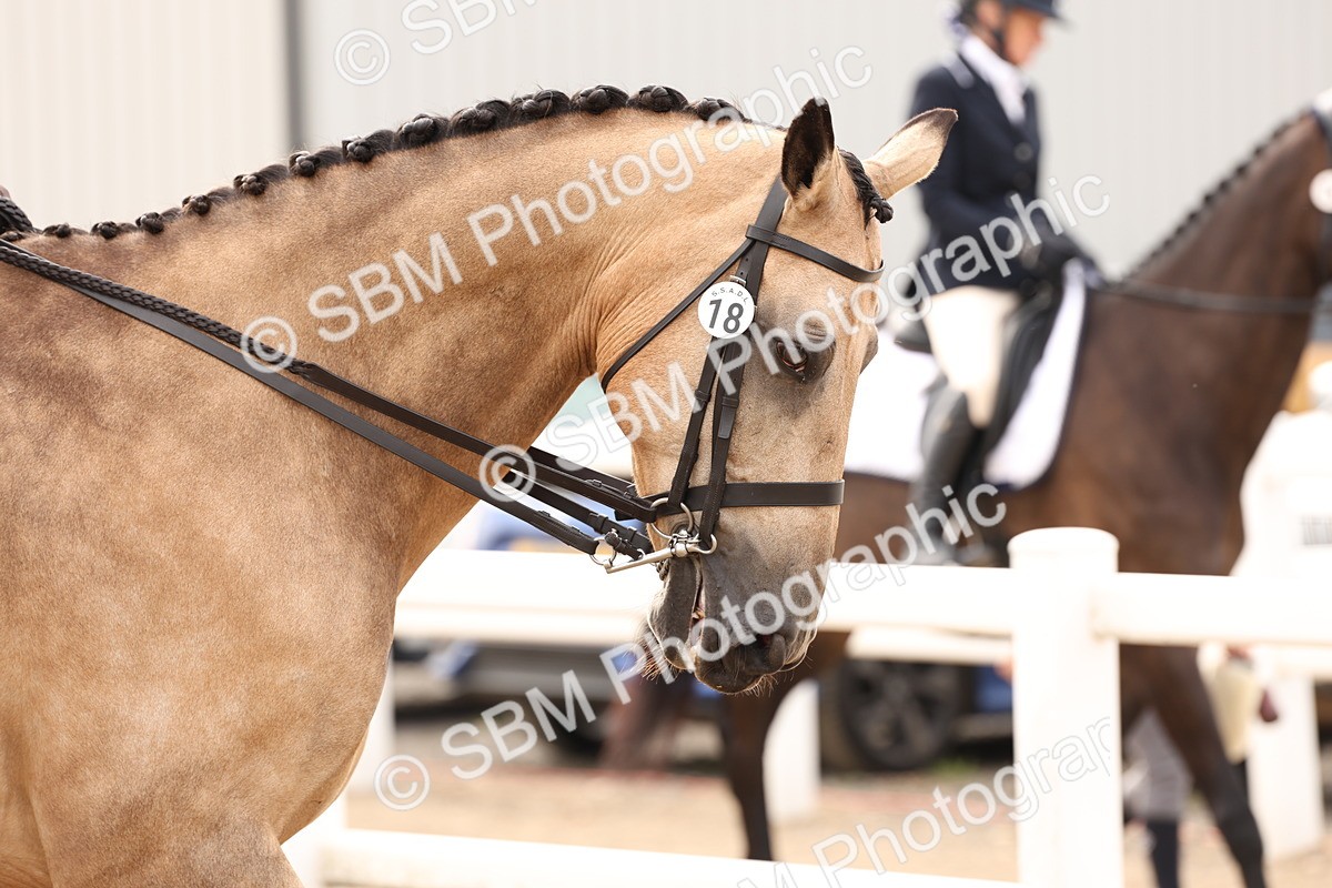 SBM_01612 - Class 52 - Ridden Veteran