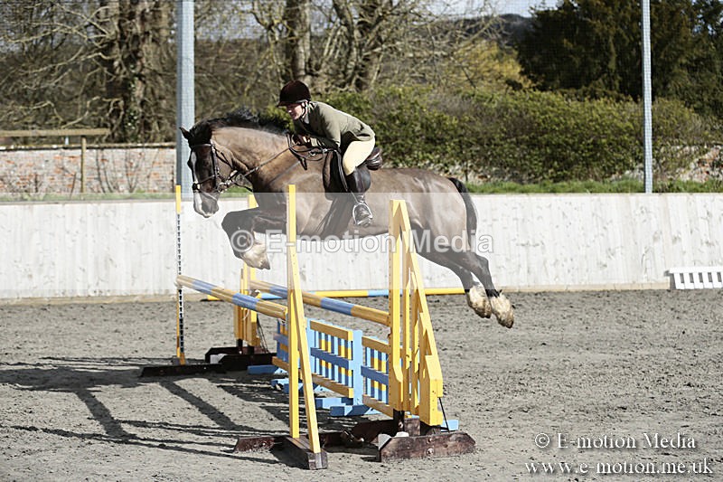 BVRC SJ 170319 684 - Bourne Valley Riding Club Showjumping 17/03/19
