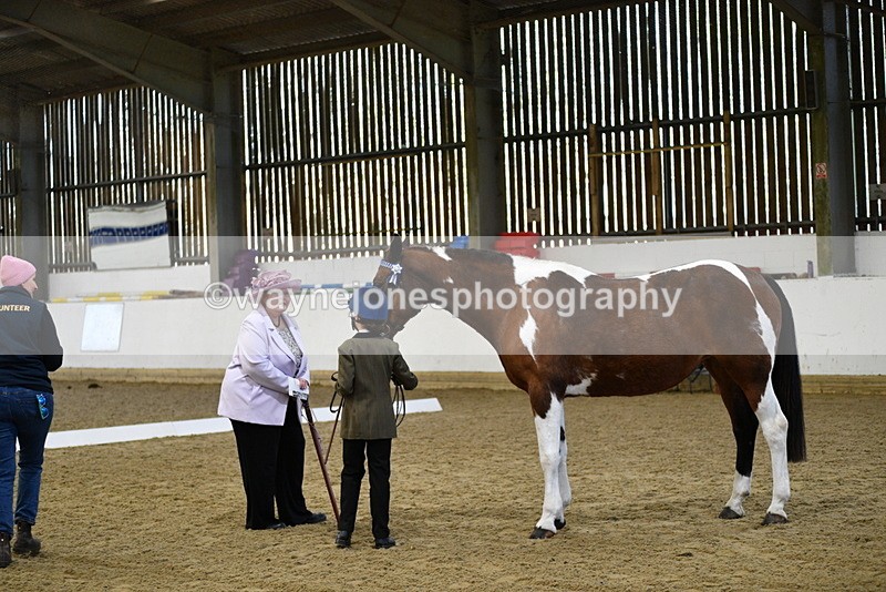 WJ5_3807 - Class 5 In Hand Veterans