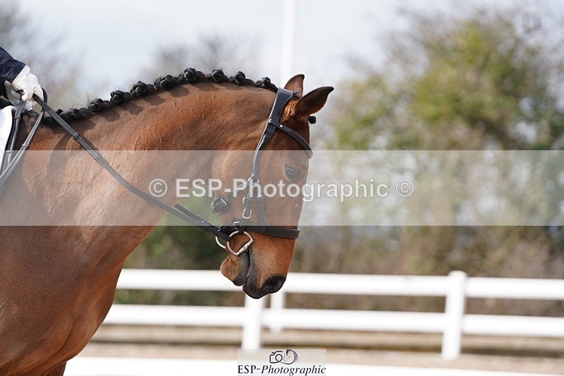 250322-111426-00227 - DR Elementary 1 Test