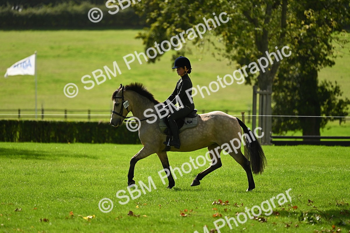 SBM_02886 - S3 - TSR Ridden Pony Showing