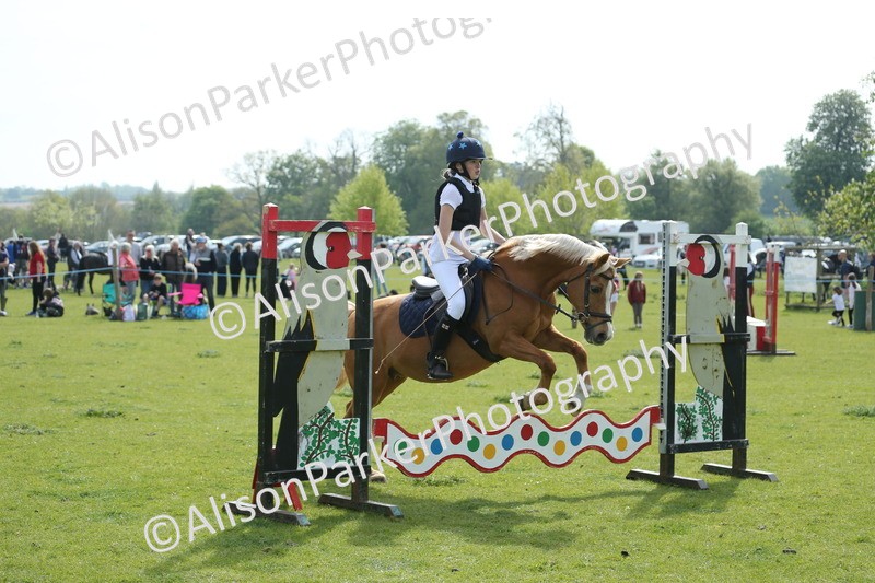 20260426-1616 - Class 14 - Novice 60cm