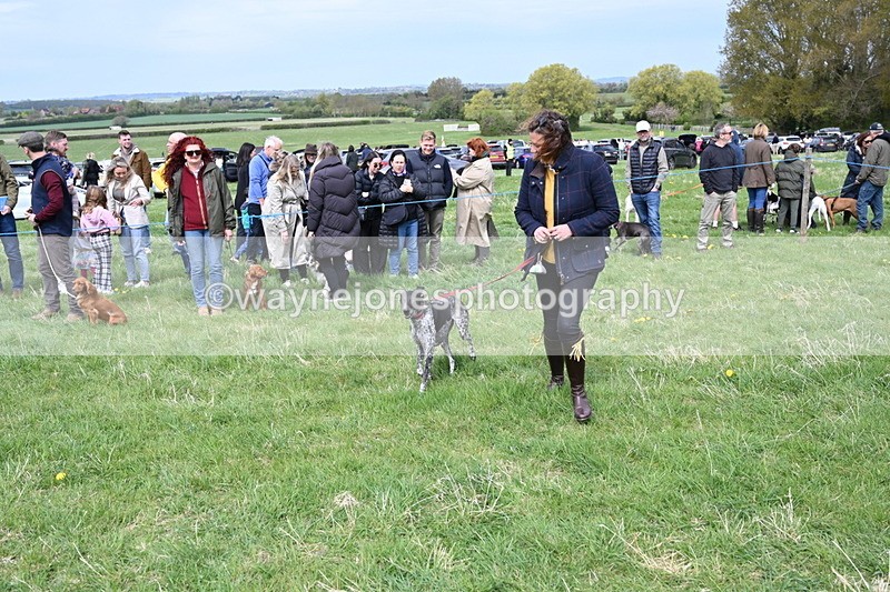 WJ6_8346 - Class 4 Prettiest Bitch