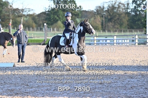 BPP_7890 - LONG ARENA
