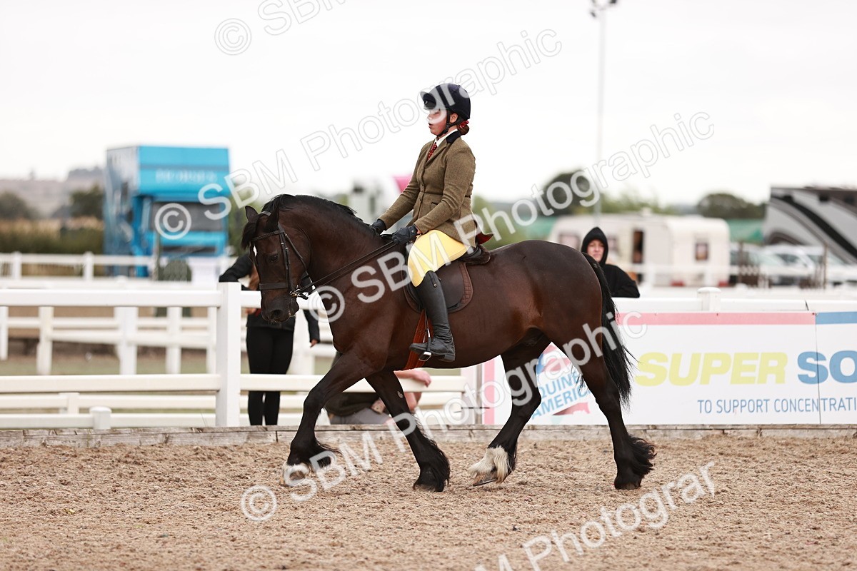 SBM_19062 - Class 422 - Ridden M&M