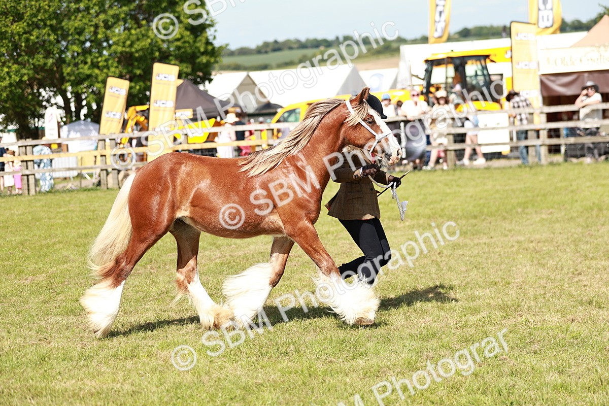 SBM_08636 - Class 63-65 - Traditional Gypsy Cobs In Hand & Ridden