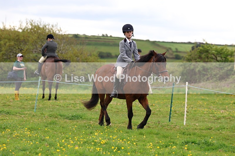 3E7A1543 - Class 8: Ridden Veteran Junoir and Senior