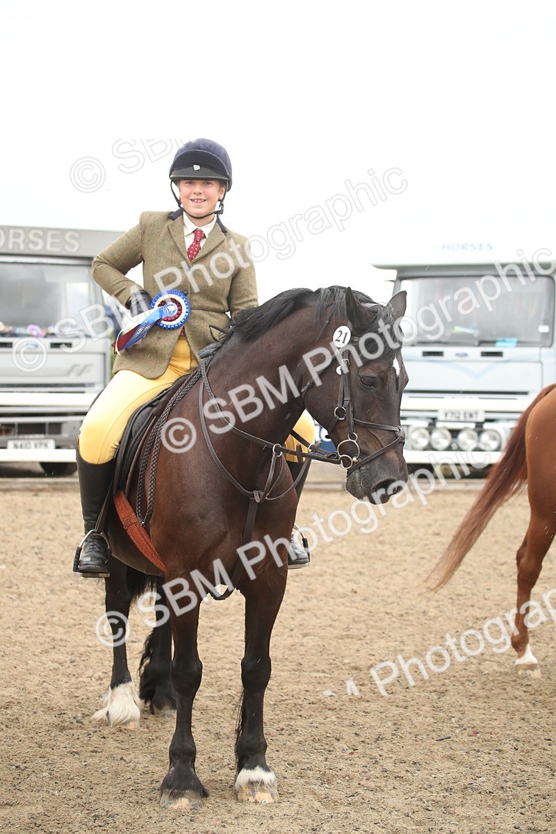 SBM_18413 - Class 509B - Working Veteran - 80cm (20+)