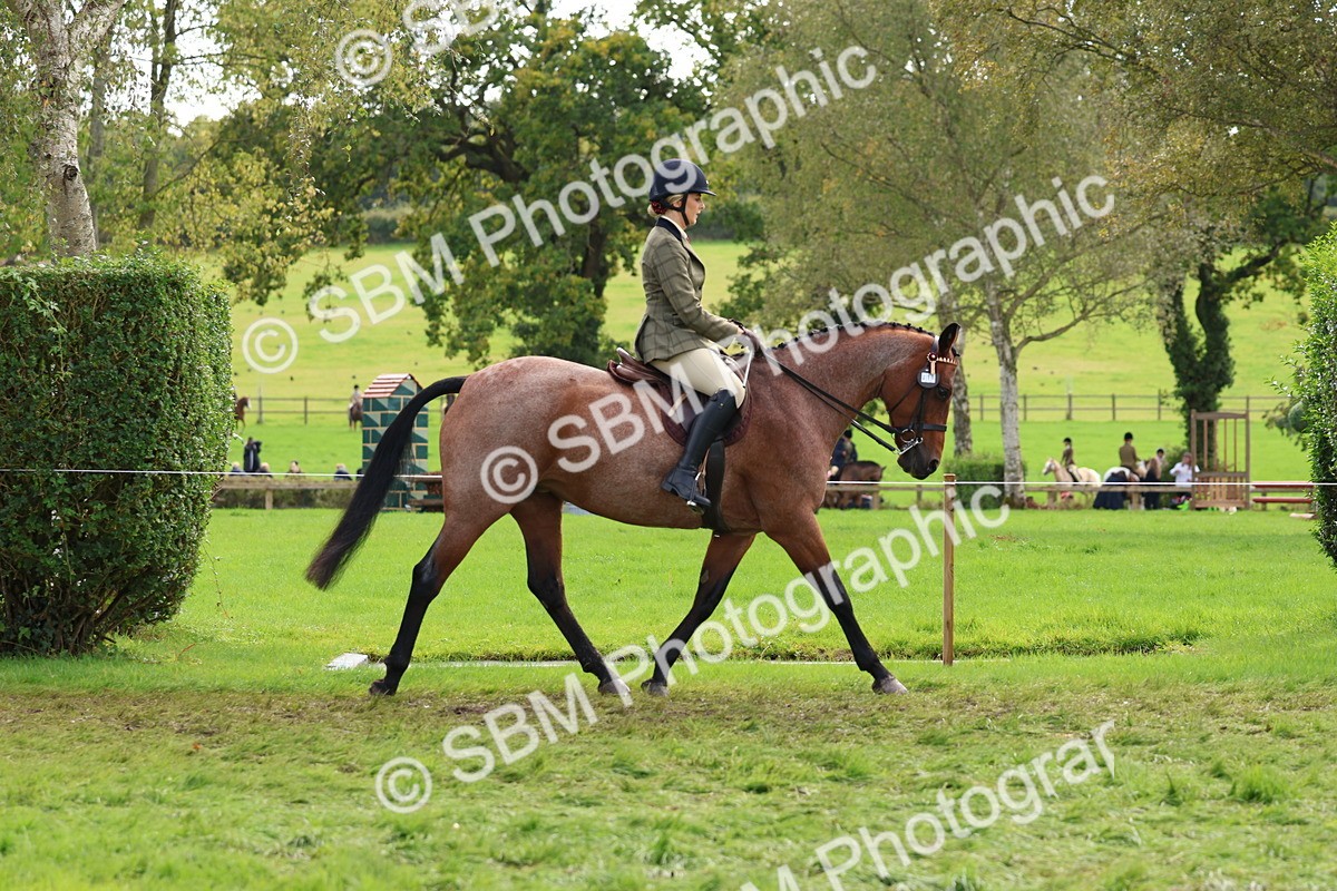 SBM_45178 - S27 - Young Veteran Ridden