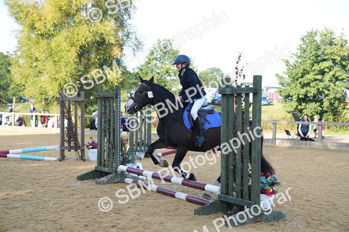 SBM_59070 - J63 - Minis Clear Round 30cm 40cm