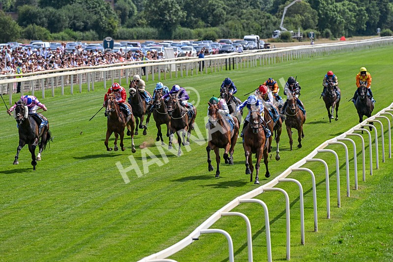 110726-Race 2-The Lost King-0118 - Race 2 14.39pm John Smith's Racing Handicap