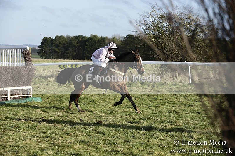 PtP 070118 -73 - Larkhill Racing Club Point to Point Larkhill 07/01/2018