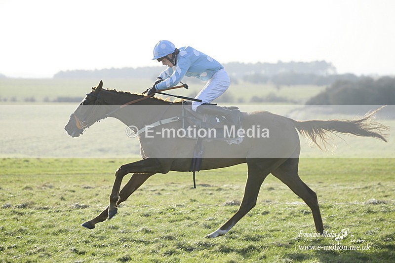 PtP 270222 549 - South & West Wilts Point-to-Point Larkhill 27/02/22